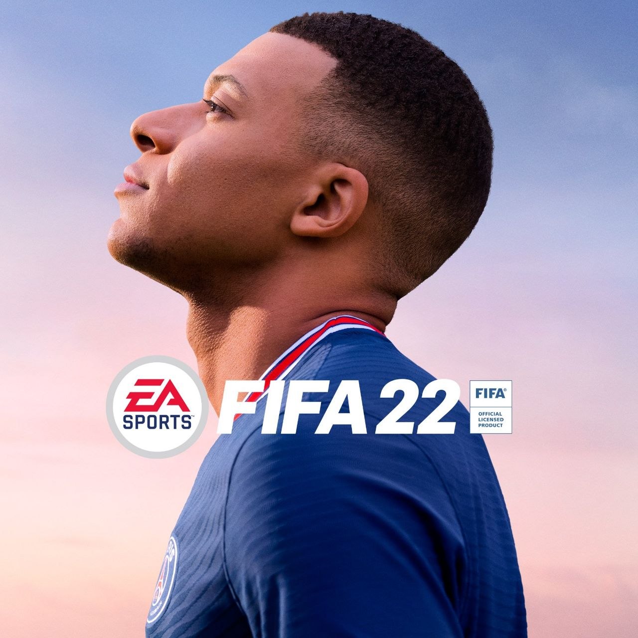 Logo de Fifa 22 pc